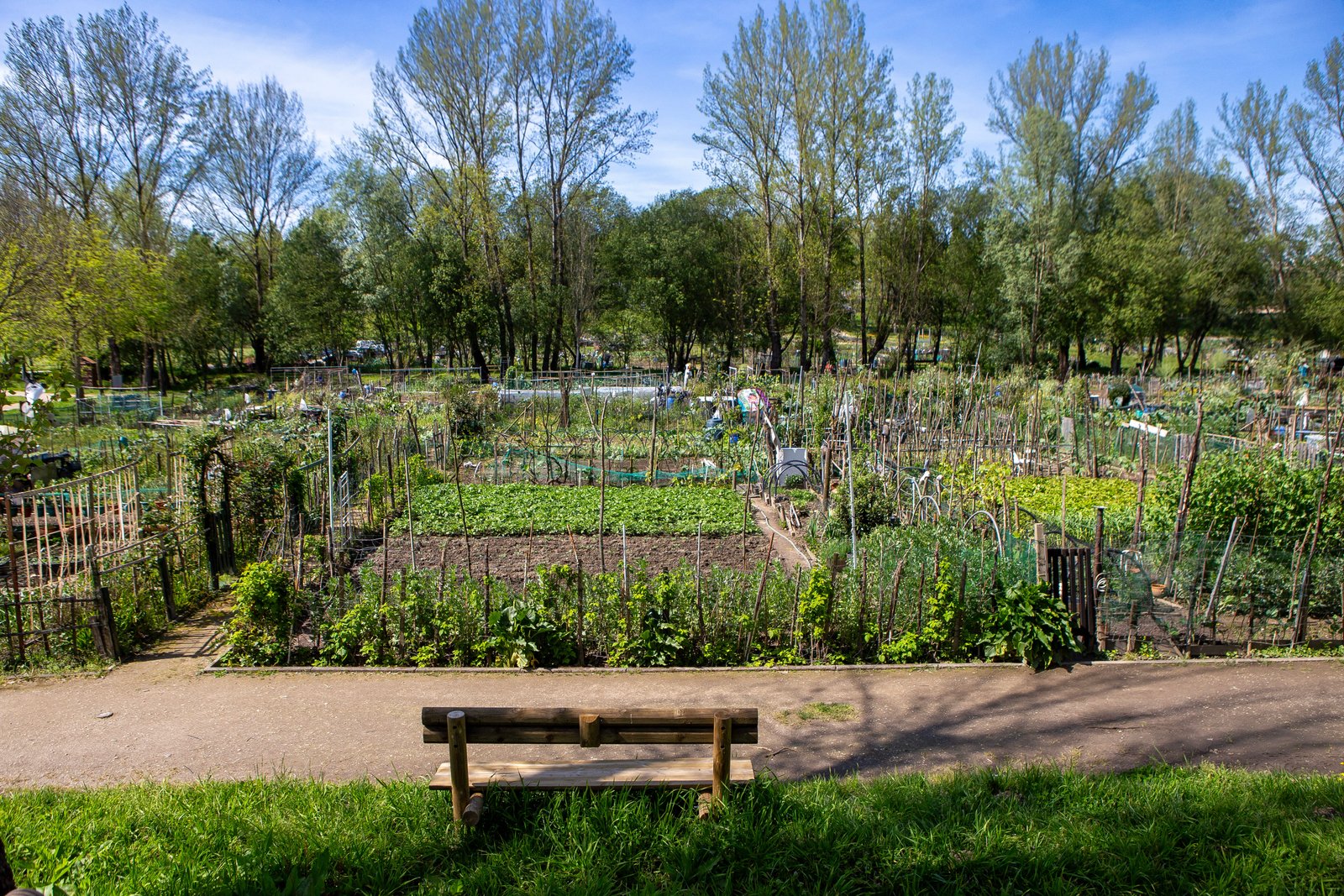 Urban community garden