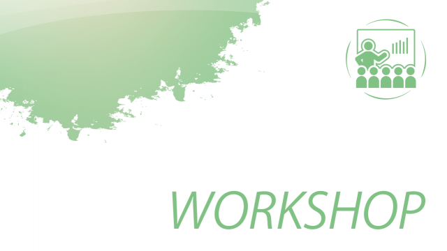 Workshop Vanguard Initiative