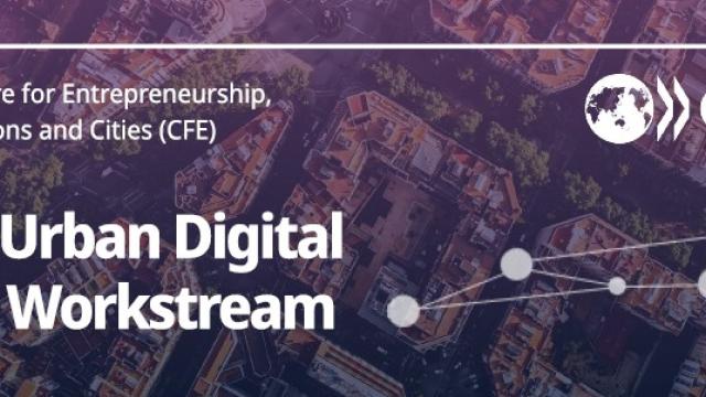 OECD Urban Digital Twin